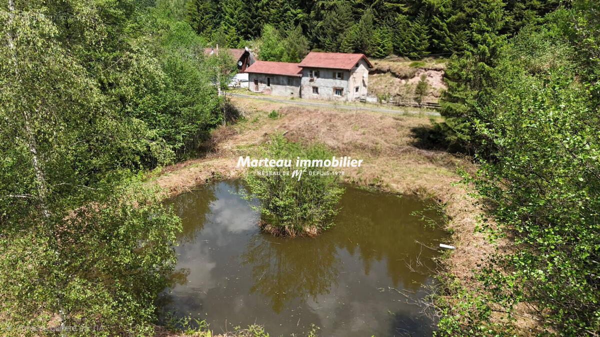 Maison à TAINTRUX