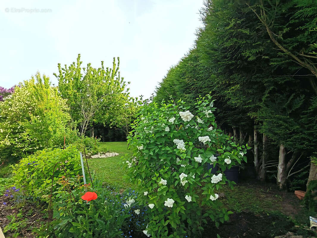 Maison à SEBONCOURT