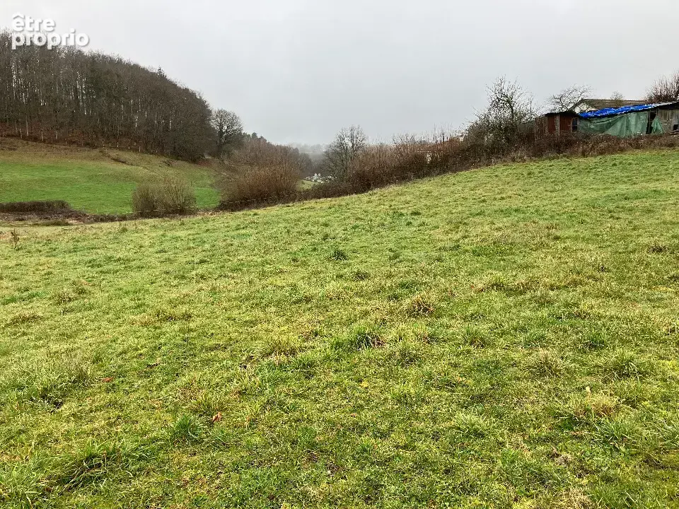Terrain 1 683 m² à vendre à Lacapelle-Viescamp (15150) - photo 3