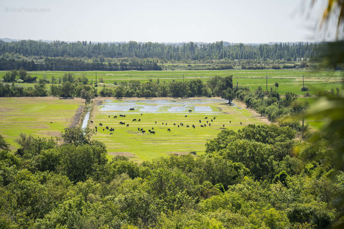 Maison à SAINT-GILLES