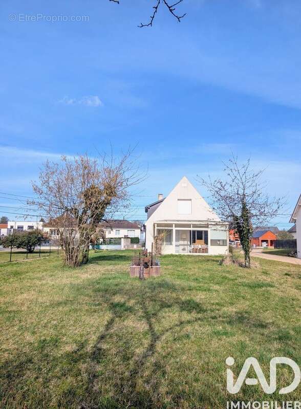 Photo 4 - Maison à OLIVET