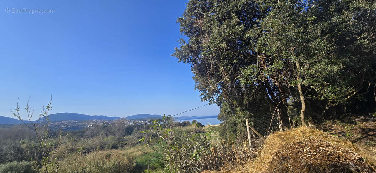 Terrain à OLMETO