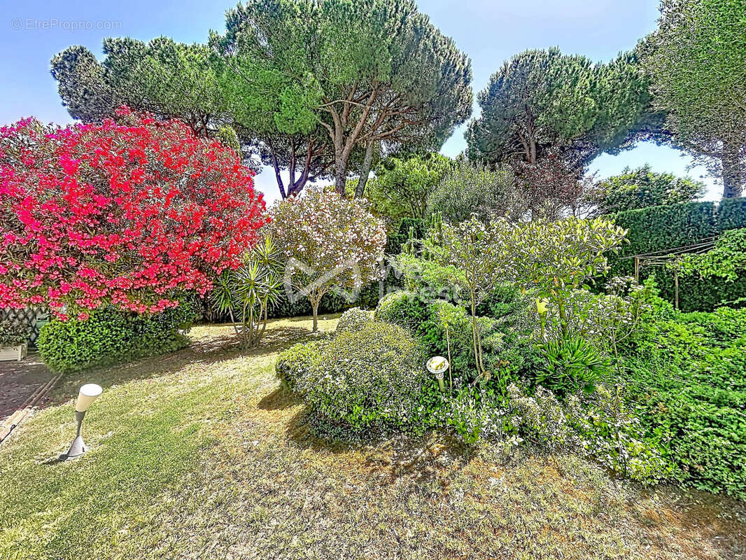 Maison à LA GRANDE-MOTTE