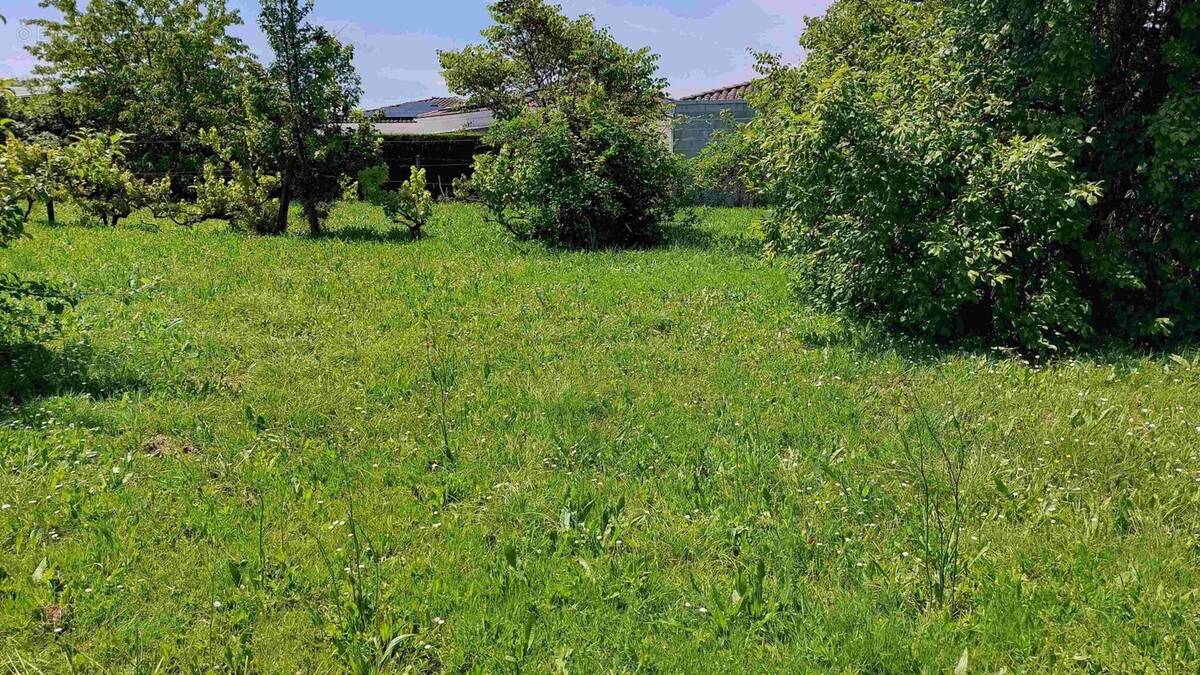 Terrain à BOUTIERS-SAINT-TROJAN