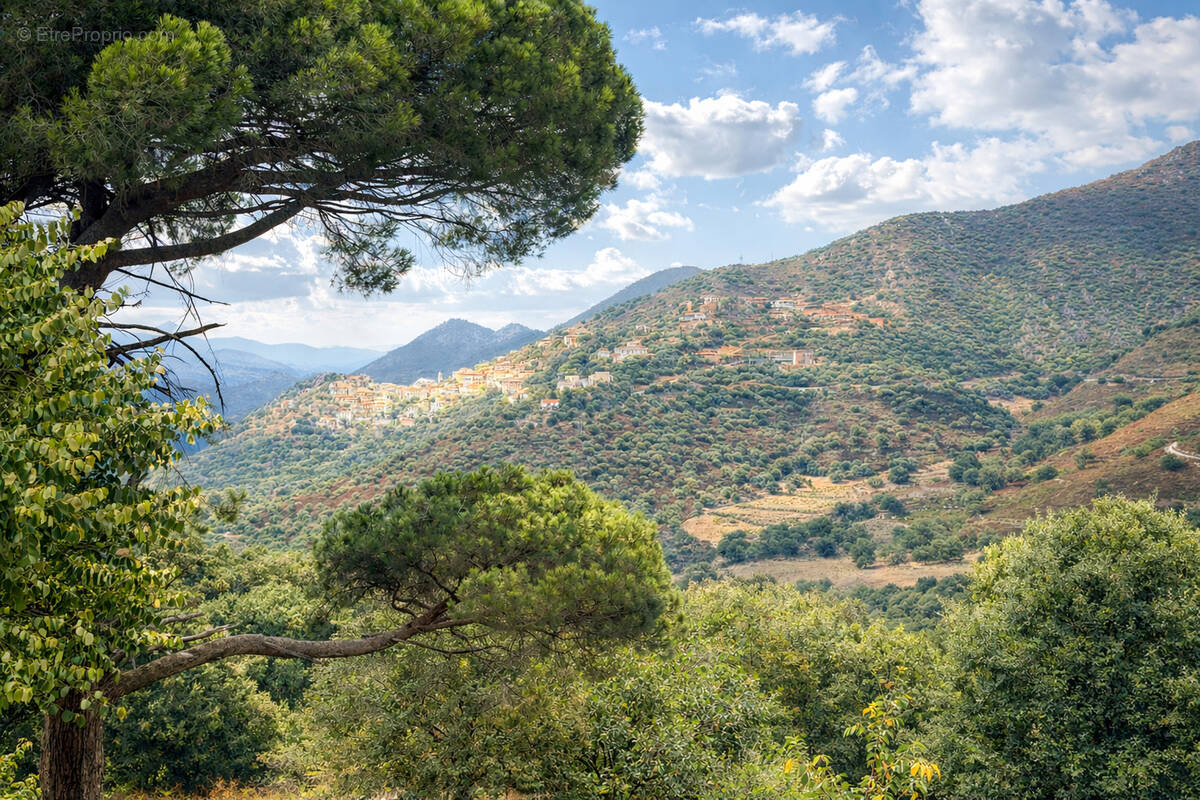 Terrain à OCCHIATANA