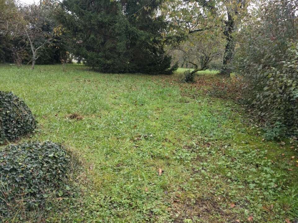 Terrain à MANDRES-LES-ROSES