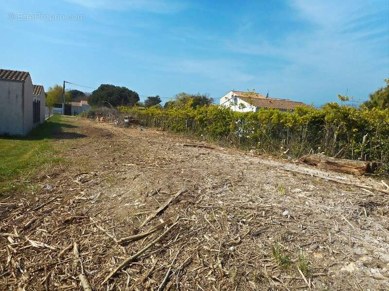 Terrain à SAINT-PIERRE-D'OLERON