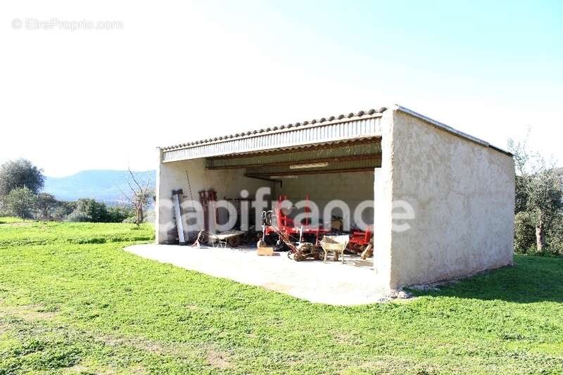 EXCLUSIVITE : Proche de L'ILE ROUSSE, Plaine du Reginu, propriété en pierre T5 161 m² sur 1.96 ha de terrain - photo 12