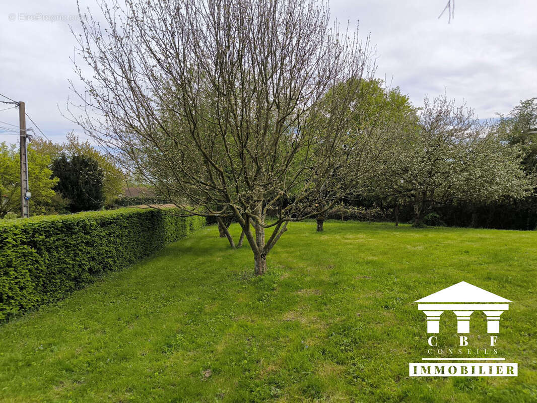 Maison à LESSARD-EN-BRESSE