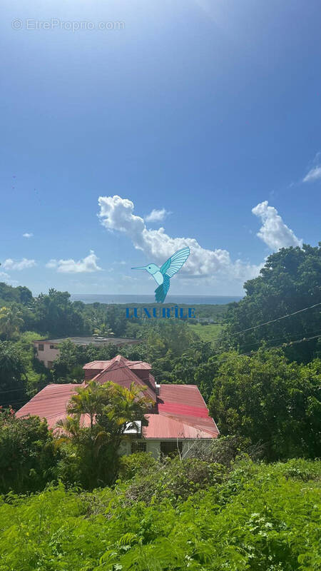 Terrain à LE GOSIER