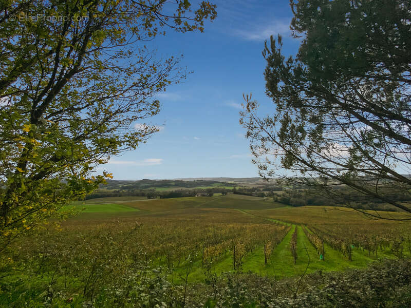Dpt Gers (32), à vendre Proche de RISCLE château T6 de 327 m² habitables + 580 m² de dépendances attenantes sur 8157 m² de terra - photo 29
