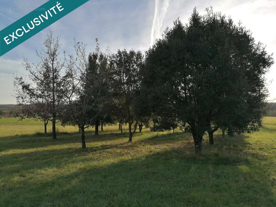 Photo 5 - Maison à CHEVANCEAUX