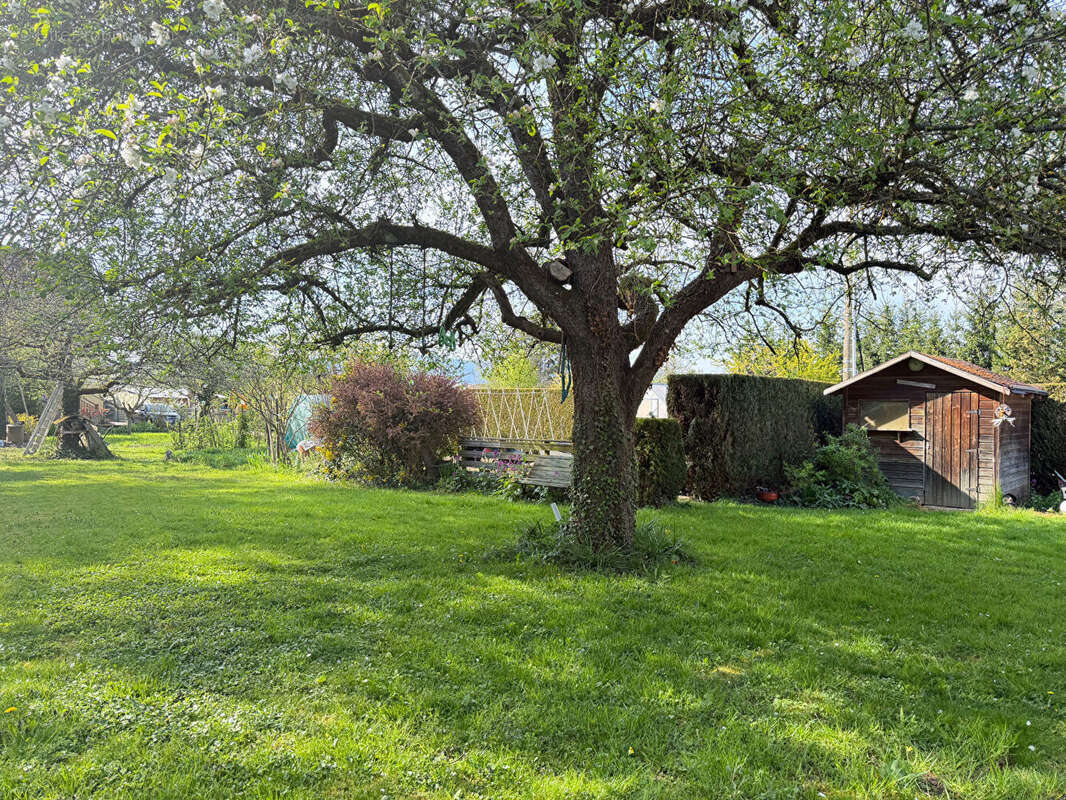 Maison à GRESSWILLER
