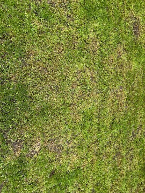 Terrain à TALLENDE