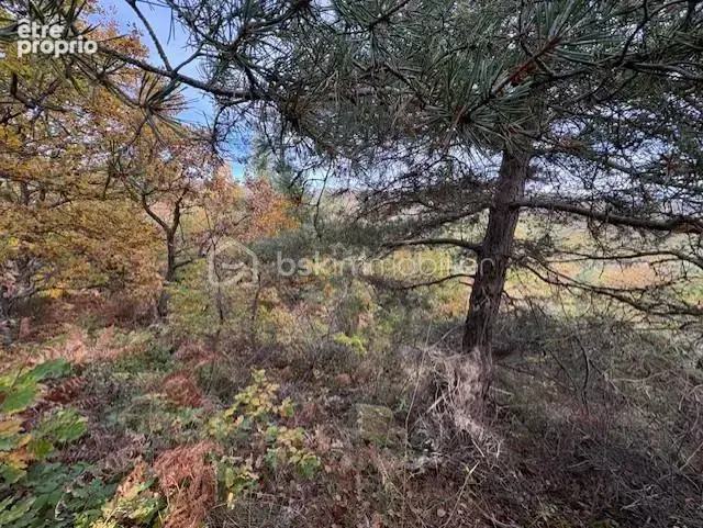 Terrain 10850 m2 Rabouillet - photo 6