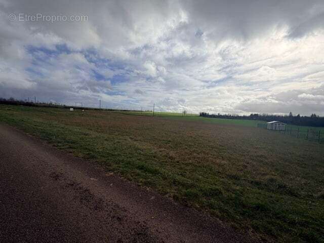 Terrain à LA MARCHE