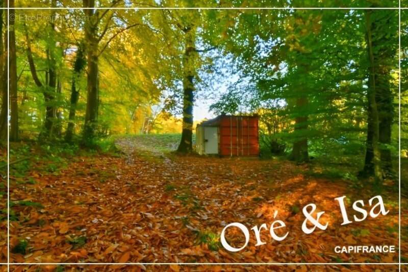 Terrain à SAINT-DESIRE