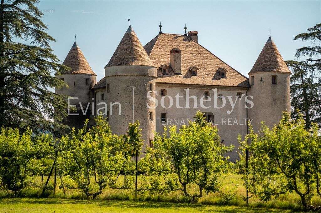 Château aux portes de genève - photo 7