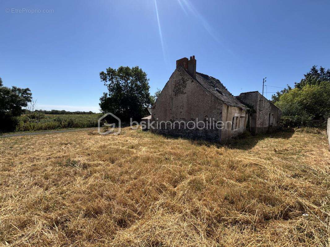 Terrain à ANCENIS