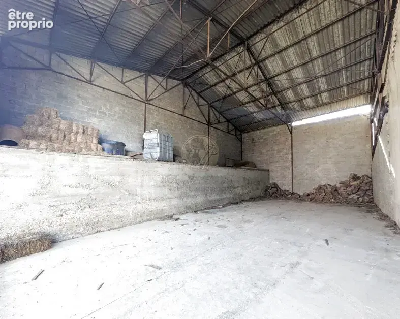 Chaponnay   Propriété rare avec plus de 300m2 de dépendances et grand terrain - photo 14