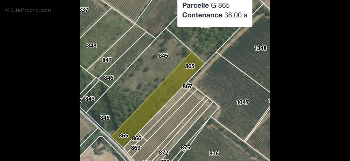 Terrain à FLORENSAC