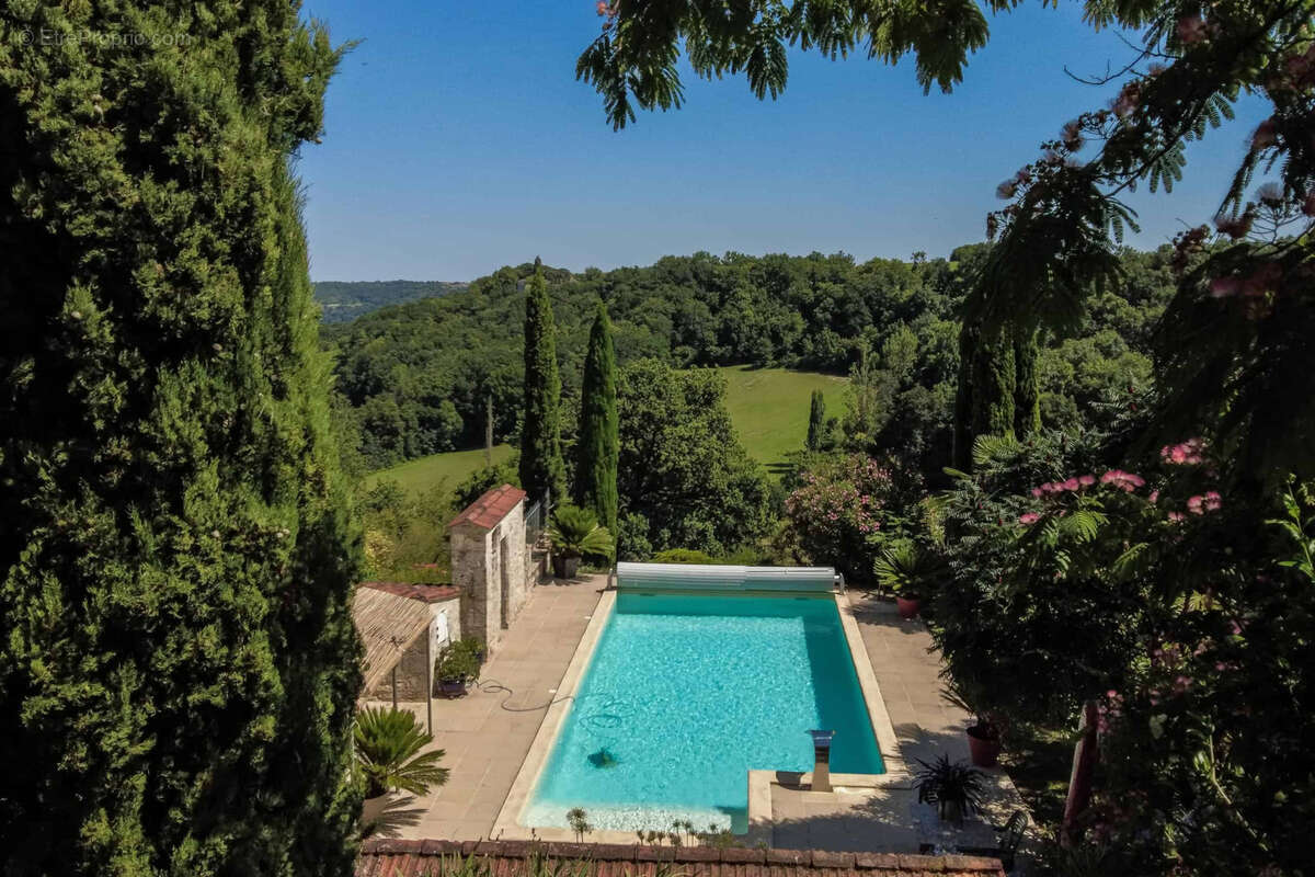 County property with pool and land - photo 3