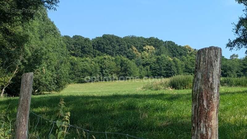 Perche sarthois Longère dépendances sur 11 hectares - photo 3