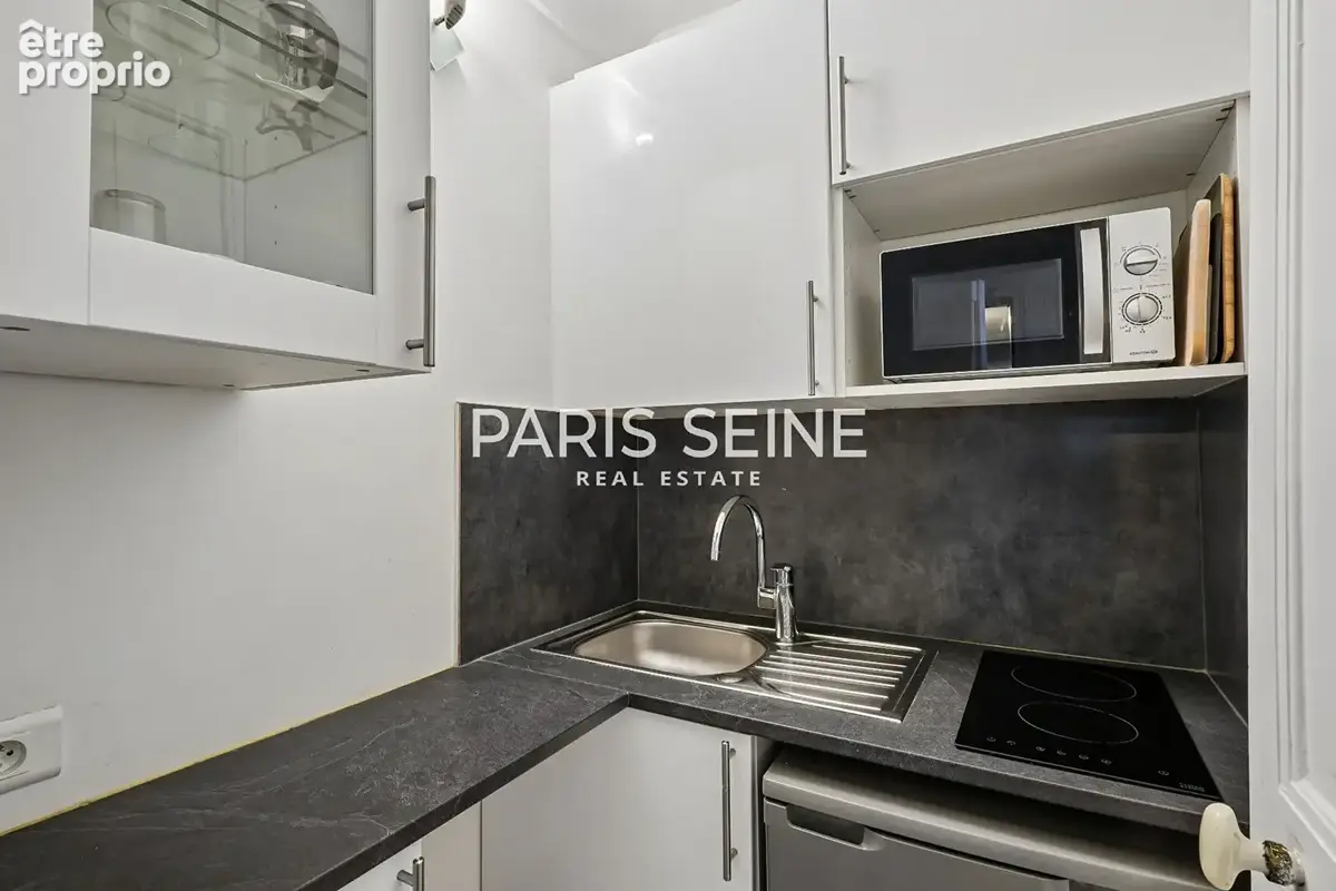 Paris seine - rue de rivoli - tuileries - photo 7