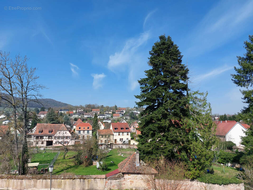 Maison à WISSEMBOURG