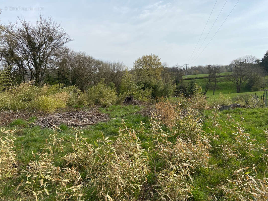 Terrain à RECQUIGNIES