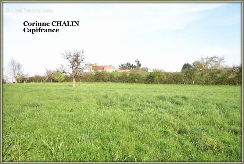 Maison à vendre 7 pièces SORBIER (03) - photo 36