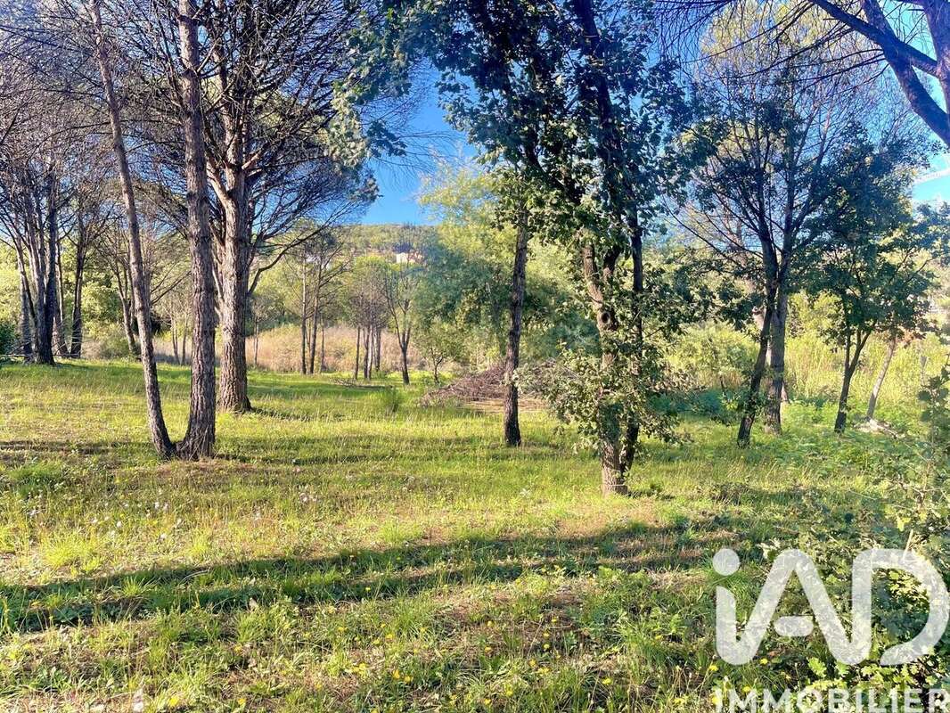 Photo 4 - Terrain à GRIMAUD