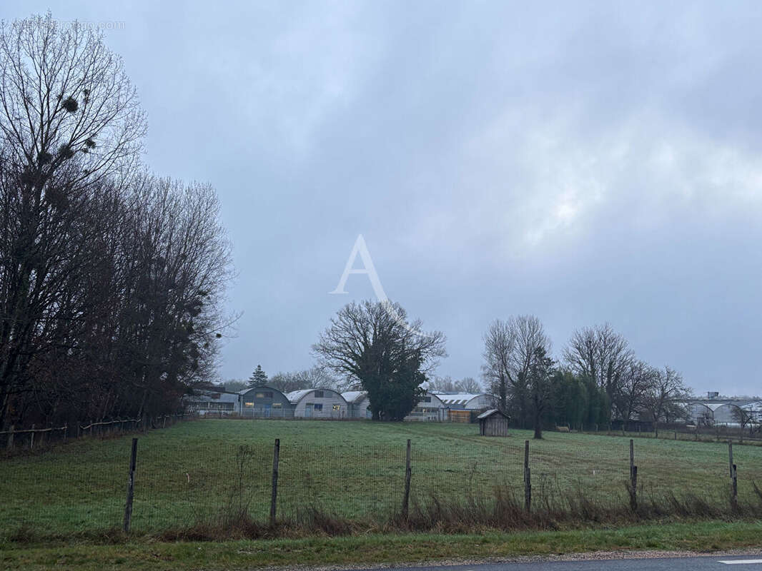 Terrain à NOUAN-LE-FUZELIER