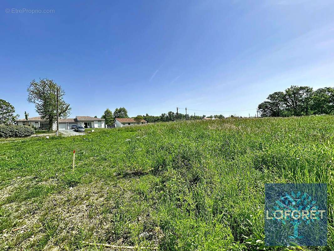 Terrain à SAUGNAC-ET-CAMBRAN