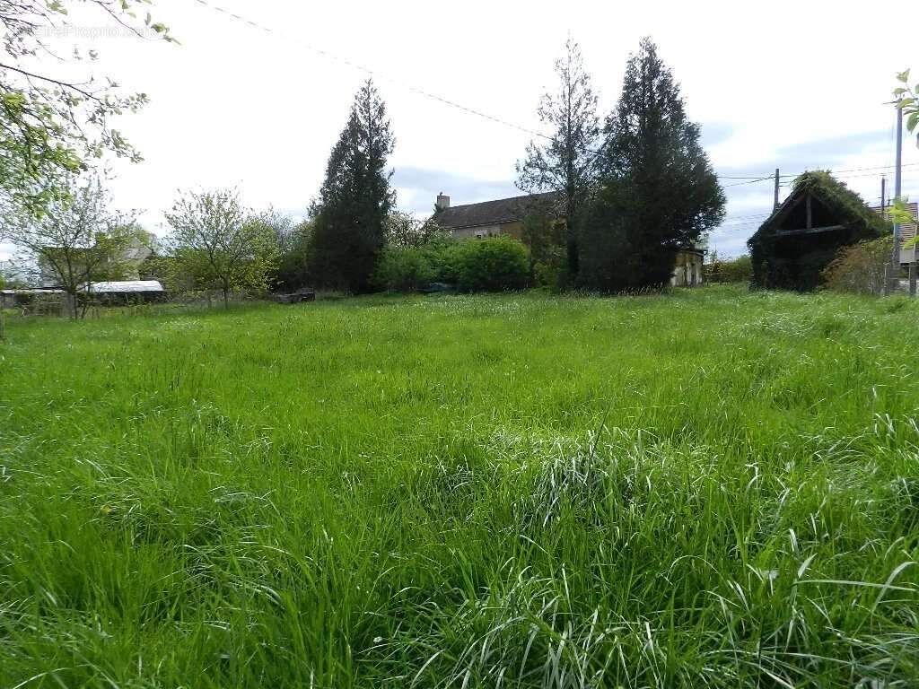 Maison à SAINT-PIERRE-SUR-DIVES