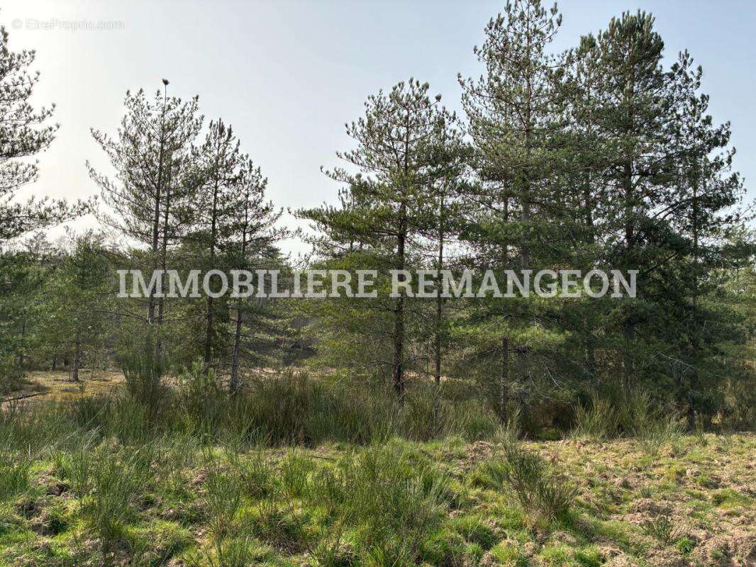 Maison à LAMOTTE-BEUVRON