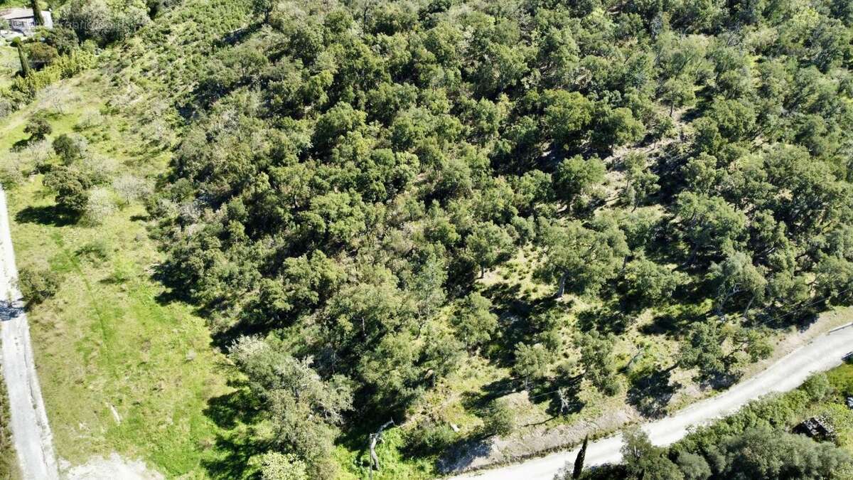 Photo 2 - Terrain à GRIMAUD