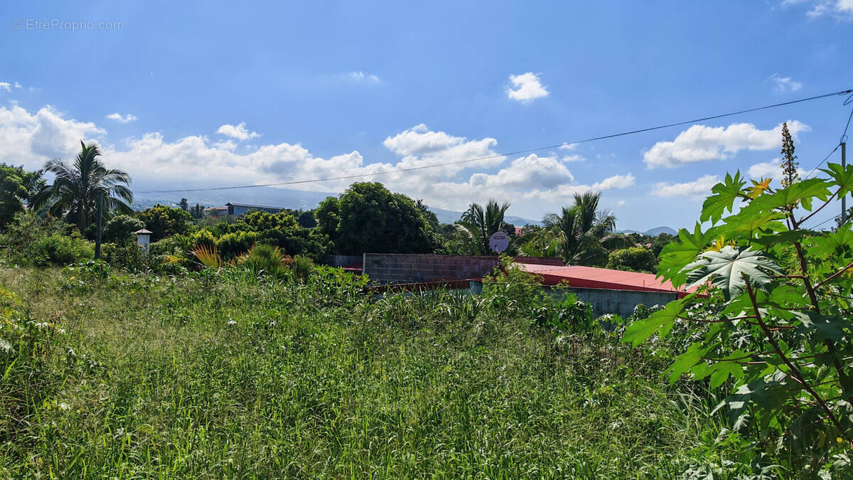 Terrain à LE TAMPON