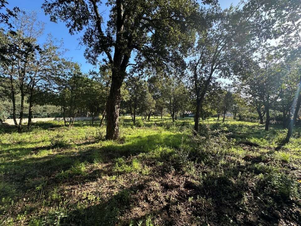 Terrain à PLAN-DE-LA-TOUR