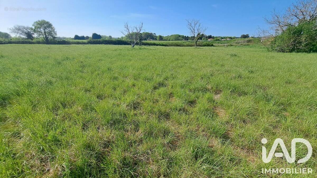 Photo 1 - Terrain à SAINT-FRONT-DE-PRADOUX