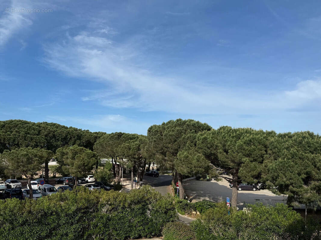 Photo 6 - Appartement à ARGELES-SUR-MER