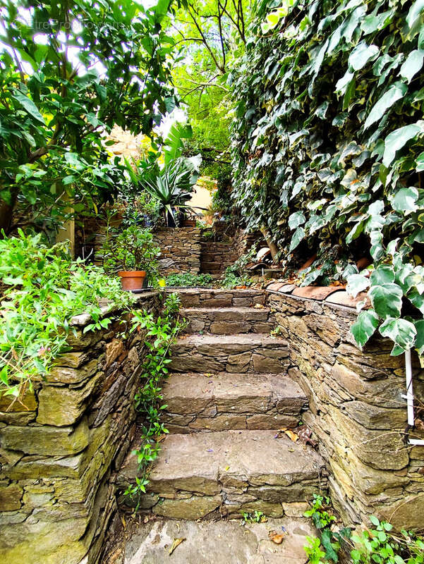 Maison à BORMES-LES-MIMOSAS