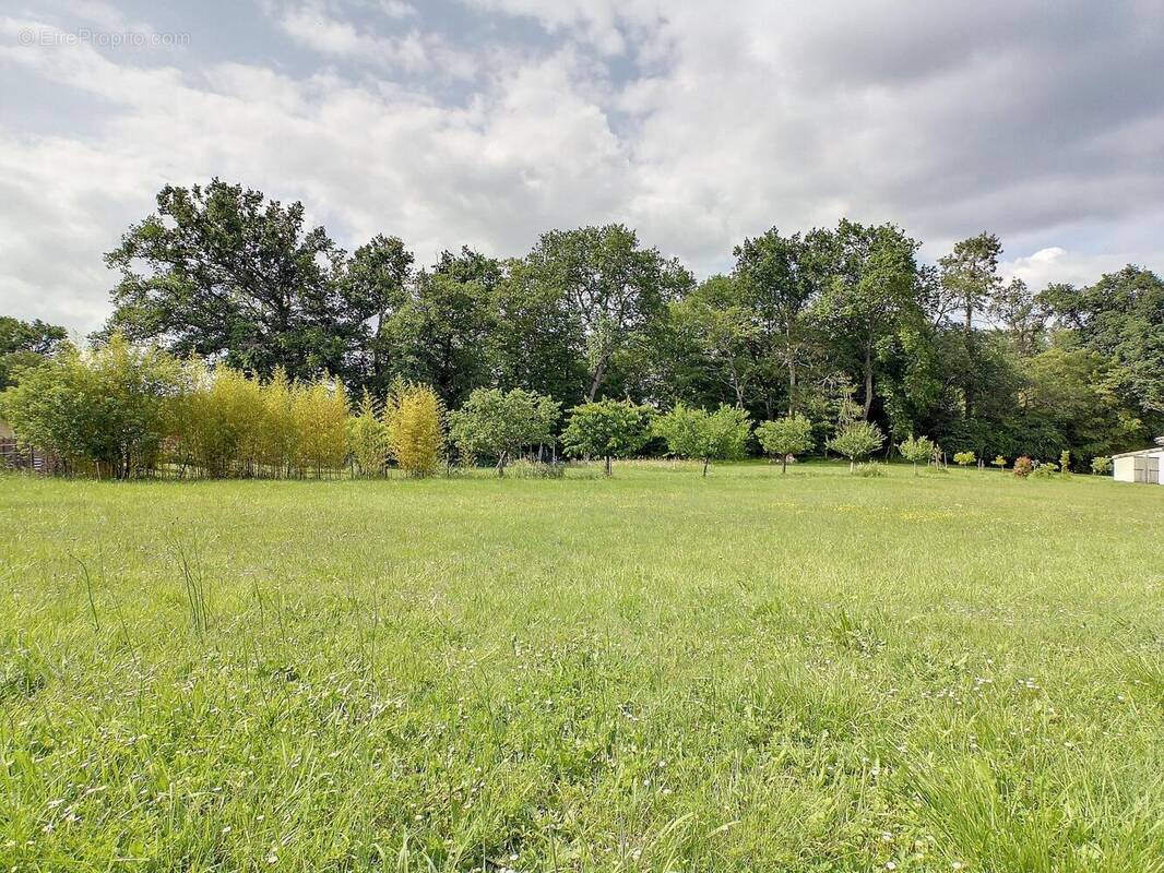 Photo 1 - Terrain à CREON