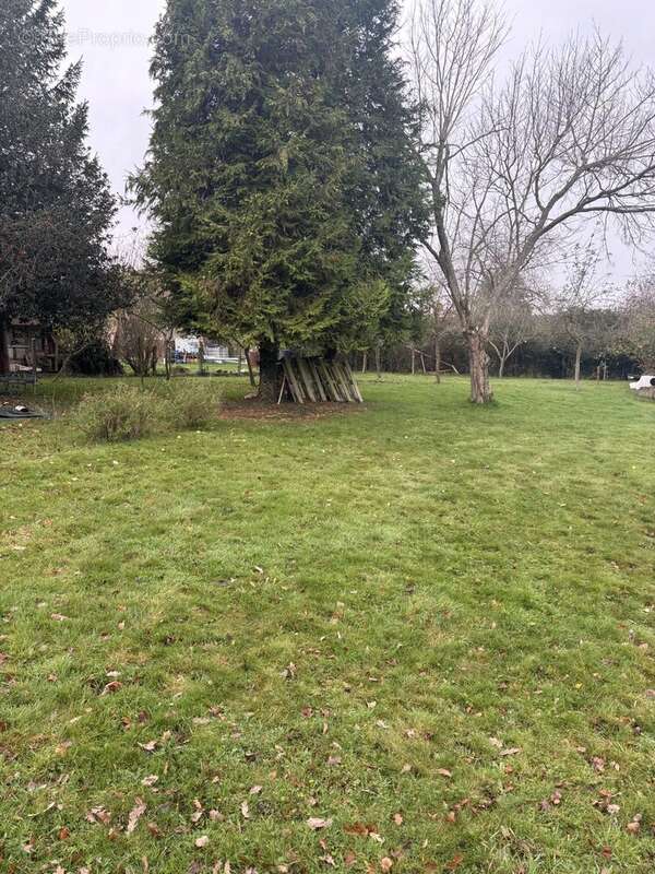 Maison à BOISSEY-LE-CHATEL