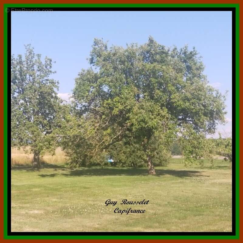 Maison à COURCELLES-LES-SEMUR