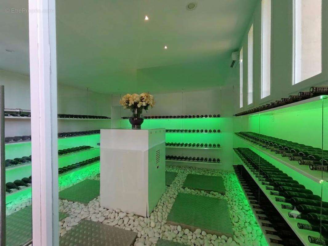 Propriété viticole - photo 16