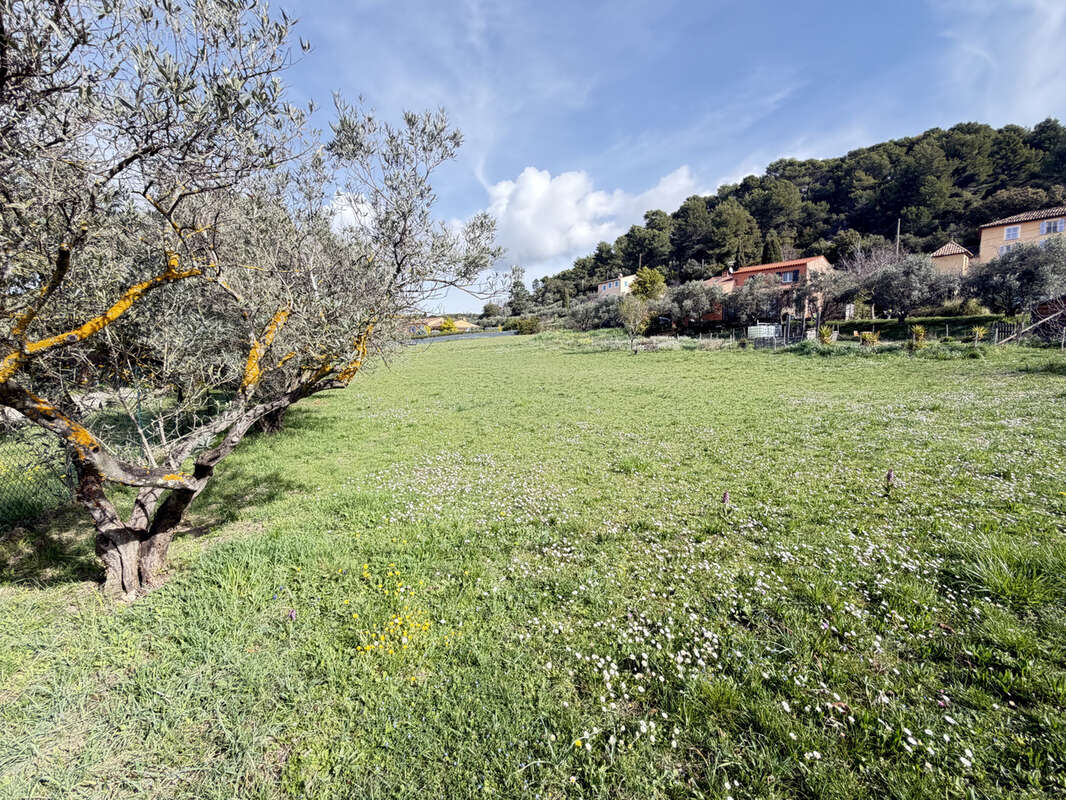 Terrain à AUPS