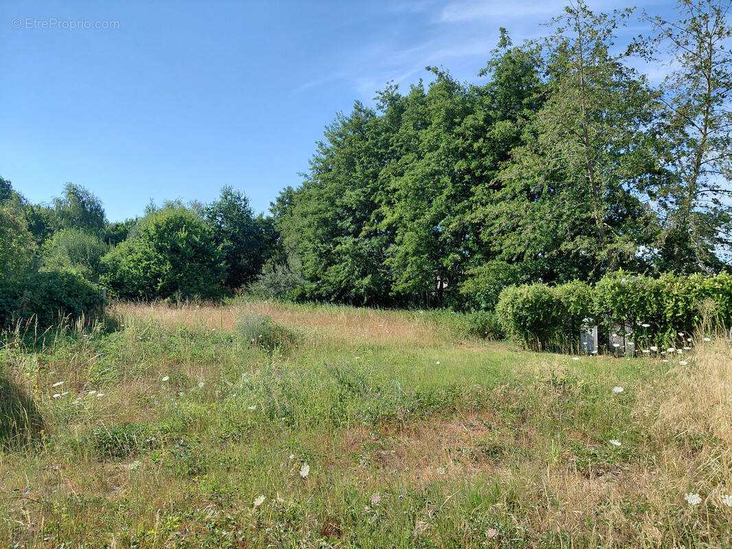 Terrain à BAUGE