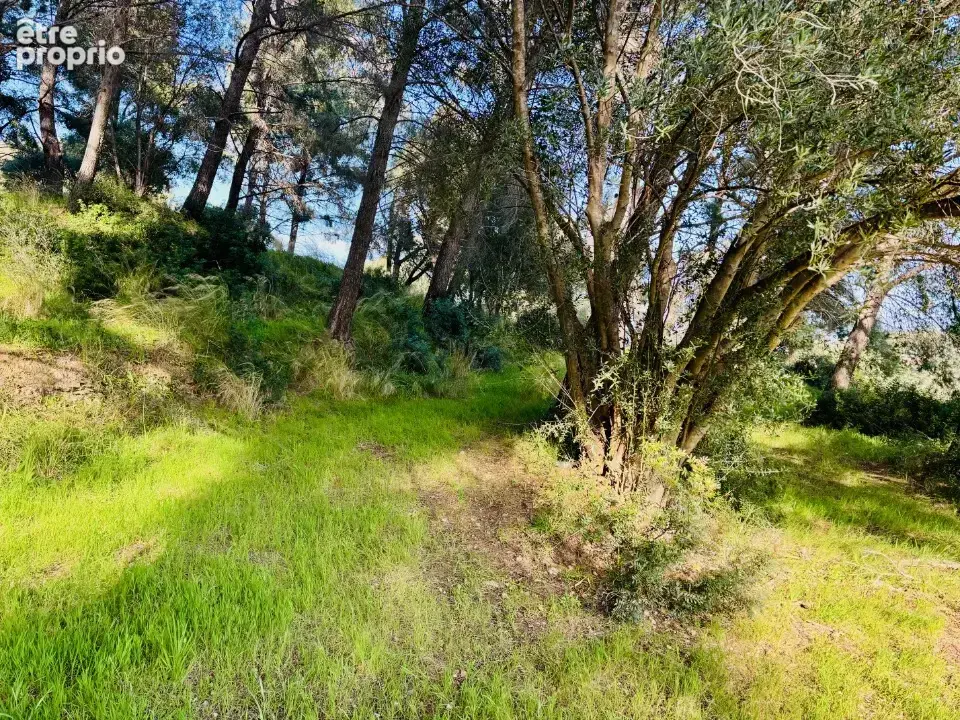 Terrain 700 m² à La Seyne-Sur-Mer  - photo 2