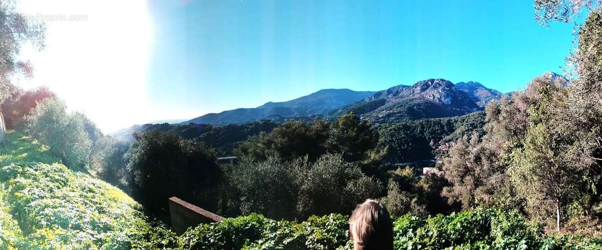 Terrain à MENTON
